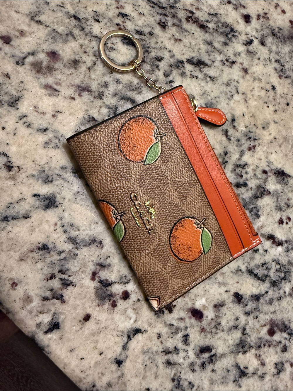 Coach Outlet Mini Skinny ID